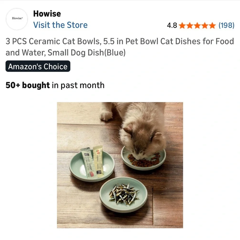 New in box - set of three ceramic serving bowls for cats - or people!
